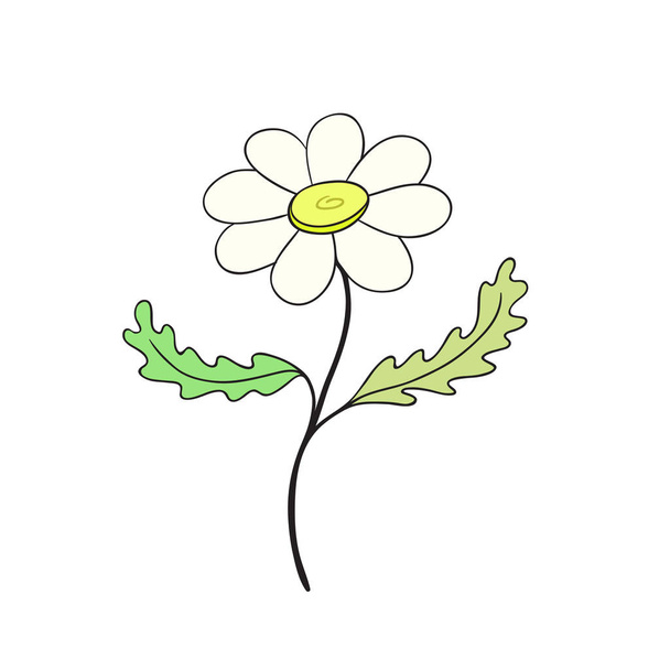 Chamomile flower icon. Hand drawn print. Sticker vector design. Floral interior poster. - ベクター画像