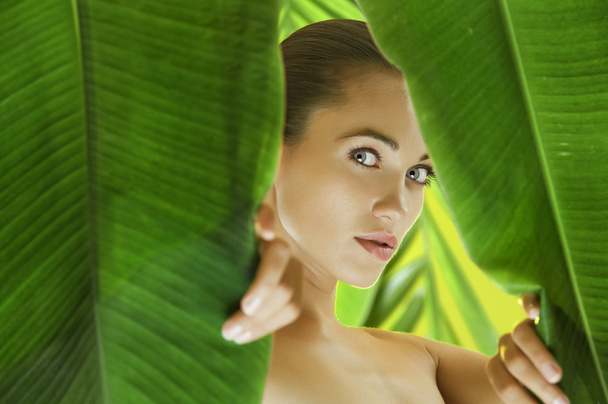 πορτρέτο της νεαρής όμορφης γυναίκας σε πράσινα φύλλα πίσω - Φωτογραφία, εικόνα