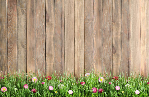 Hierba verde fresca con flores sobre fondo de madera, espacio para texto
 - Foto, Imagen