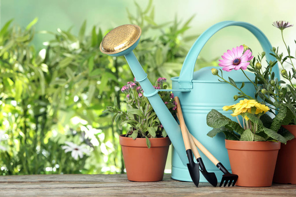 Potted blooming flowers and gardening equipment on wooden table, space for text - Fotoğraf, Görsel