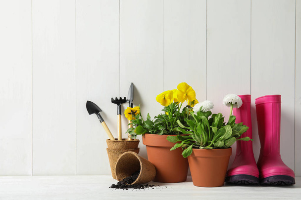 Blooming flowers in pots and gardening equipment on table, space for text - Fotó, kép