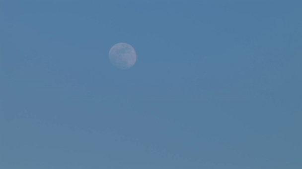 wschodzącego księżyca - Materiał filmowy, wideo