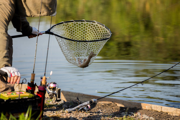 Pisztráng horgászat a folyó - Fotó, kép