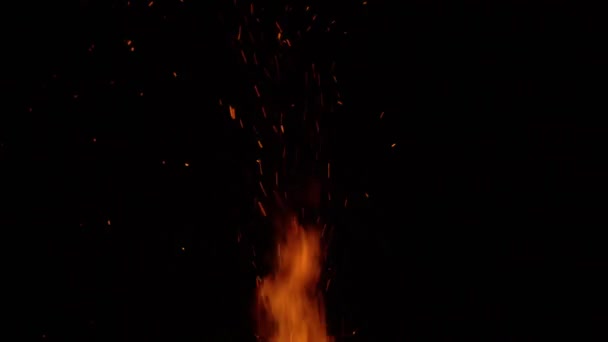 Κάψιμο φωτιά πάνω σε μαύρο φόντο που περιβάλλεται από κλαδιά. Κοντινό πλάνο - Πλάνα, βίντεο