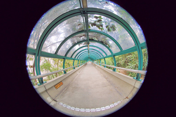 foot bridge at hong kong  - Photo, Image