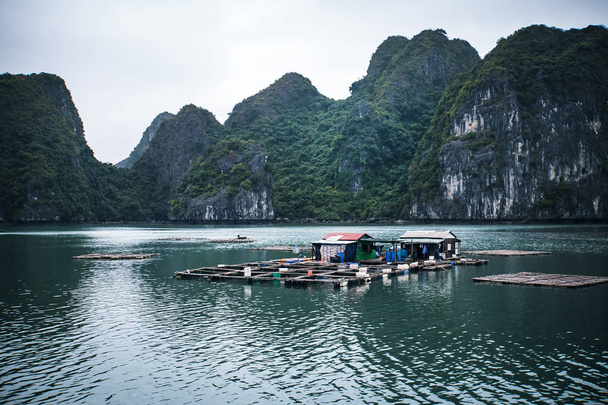 drijvende viskwekerij in Ha Long Bay Vietnam. productie van vis en schaaldieren in de zee - Foto, afbeelding