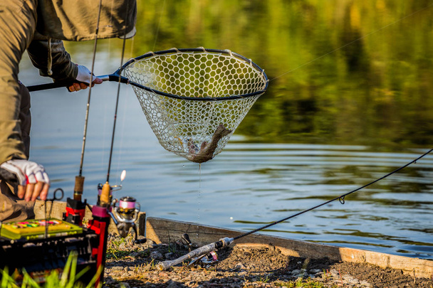 Рыбалка форели на реке
 - Фото, изображение