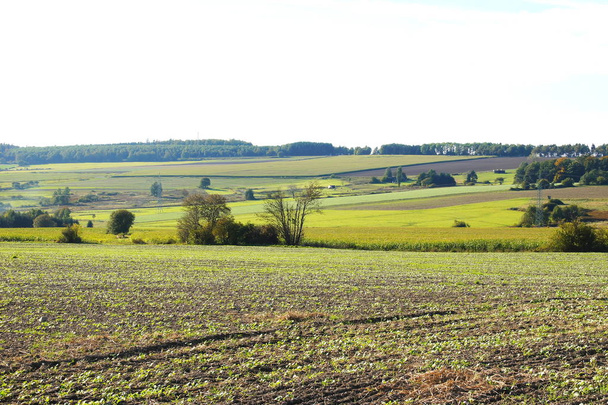 Fields in Hunsrck at Morbach in October  - Photo, Image