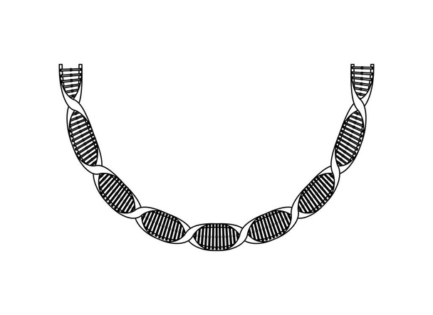 cadena de ADN con icono de la ciencia curva
 - Vector, Imagen