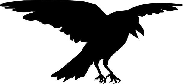 An impressive raven spreads its wings. - Vector, Image