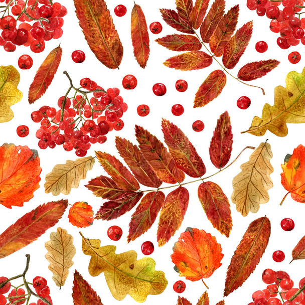 Seamless texture of watercolor fall oak, aspen, rowan leaves and berries. Bright autumn print with natural elements - Foto, Bild