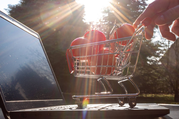 Concept of online grocery shopping. A miniature shopping cart wi - Photo, Image