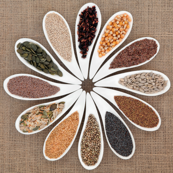 Seed Food Sampler - Фото, изображение