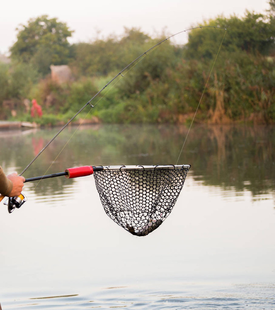 Pesca de truchas en el río
 - Foto, Imagen