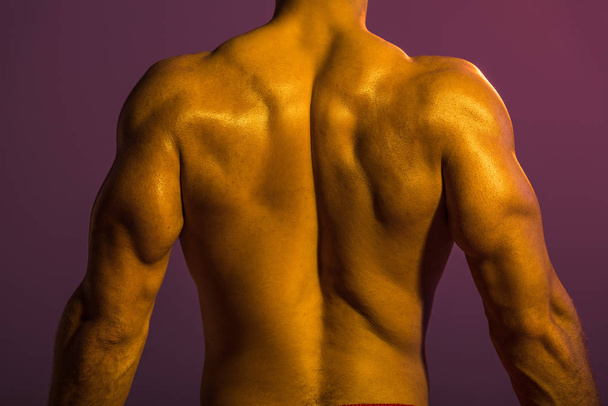 back view of shirtless athletic man with muscular torso on purple background - Photo, image