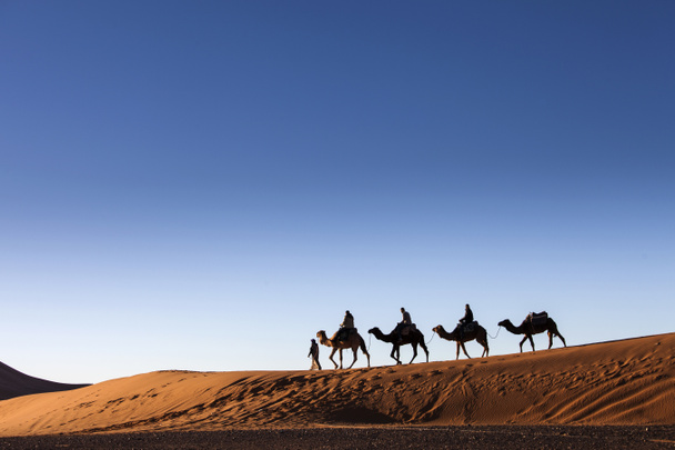 woestijn, kameel rijden, genieten en gelukkig - Foto, afbeelding