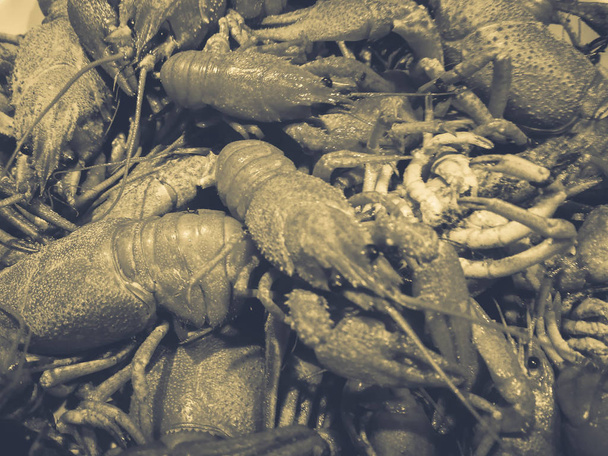 boiled tasty crayfish background - Zdjęcie, obraz