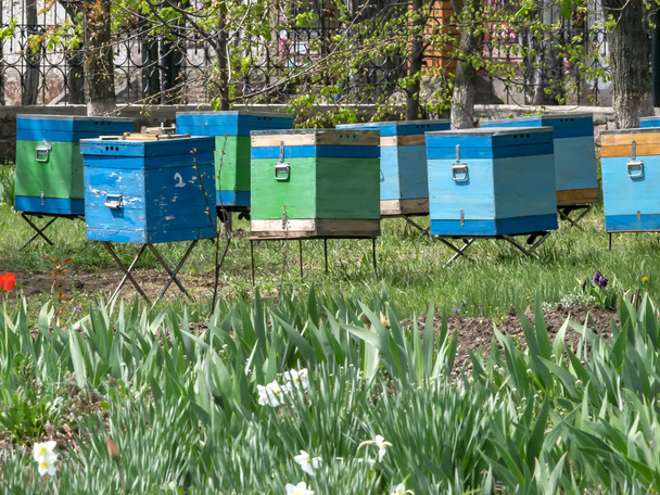 die hölzernen Bienenstöcke im Frühlingsgarten. vertikal stapelbare Bienenstöcke - Foto, Bild