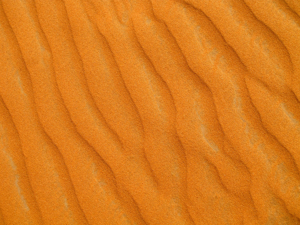 Red sand desert - Foto, immagini