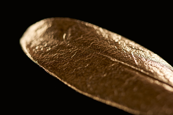 close up of golden textured metal decorative leaf isolated on black - Фото, изображение