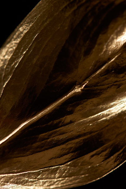 close up of gold textured leaf isolated on black - Fotó, kép