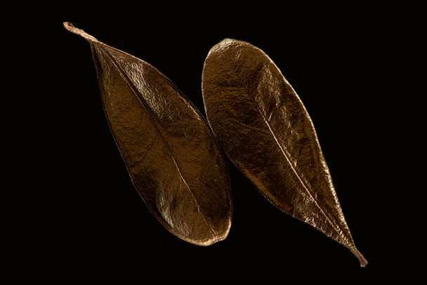 vista superior de dos hojas decorativas de metal dorado aisladas en negro
 - Foto, imagen
