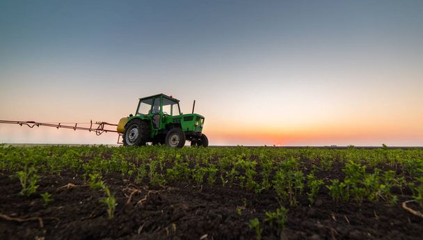 Traktör soya fasulyesi alanında pestisit püskürtme  - Fotoğraf, Görsel