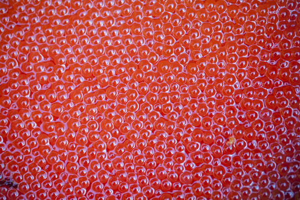 vis eieren close-up - Foto, afbeelding