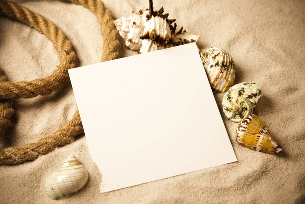 Seashells frame and space for text, holiday beach concept  - 写真・画像