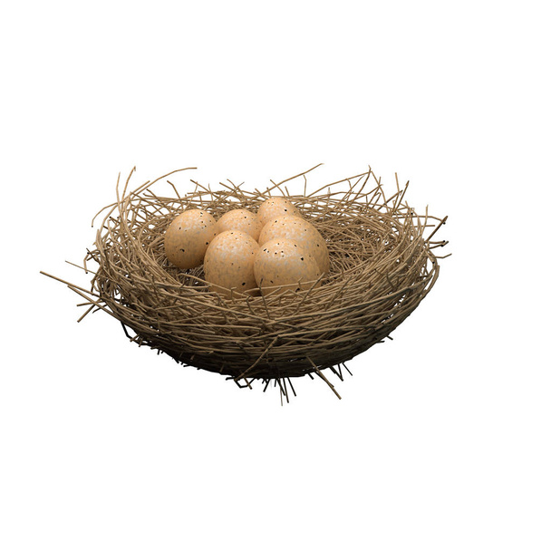 Гнездо с яйцами изолированы на белом
  - Фото, изображение