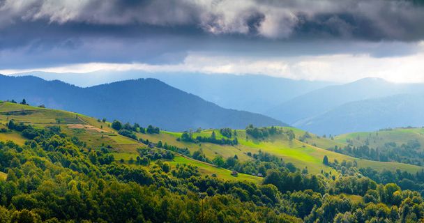 Beautiful picturesque summer landscape in the Carpathian mountai - Фото, зображення