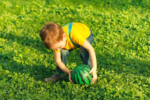 Boy on green grass lawn in summer park,  little. - Foto, immagini