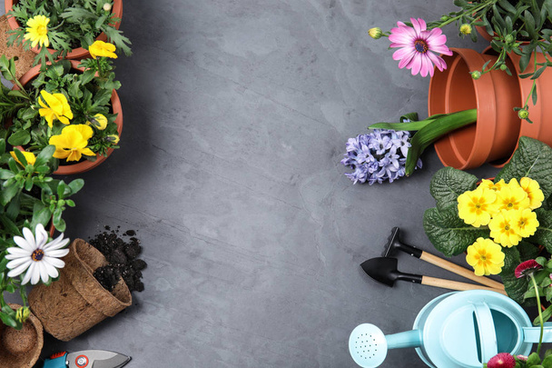 Flat lay composition with gardening equipment and flowers on color background, space for text - Foto, Imagem