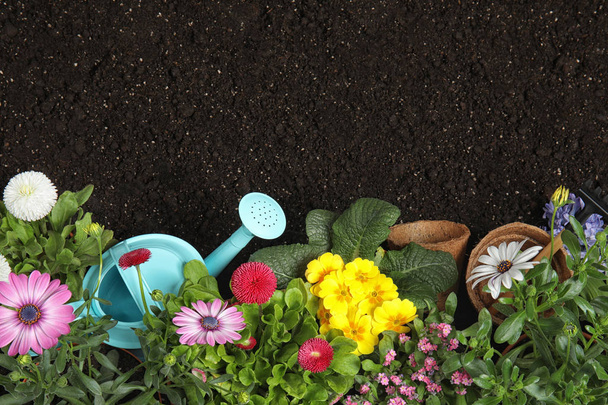 Flat lay composition with gardening equipment and flowers on soil, space for text - Fotografie, Obrázek