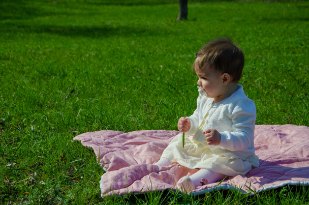 Bambino in abiti vivaci su un plaid rosa su erba verde nel parco. Neonato fuori in una giornata calda. Bambina gioca su un plaid su un prato verde in primavera
 - Foto, immagini
