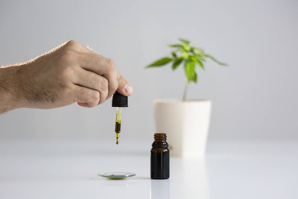 Hand dropping CBD oil from pipette to the watch glass - Foto, imagen