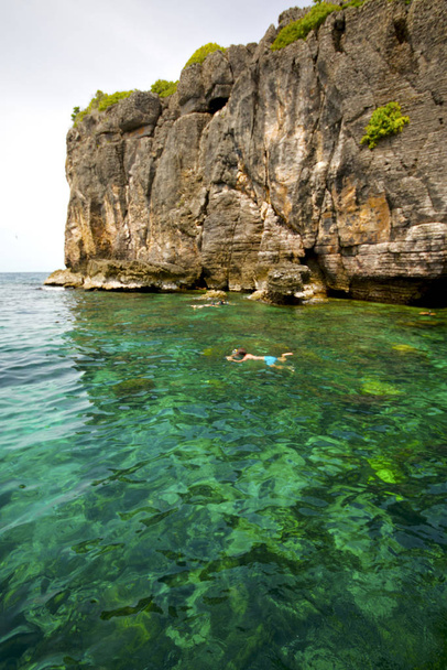 asia in the  kho phangan isles bay   rocks    thailand  and south china green sea - Φωτογραφία, εικόνα