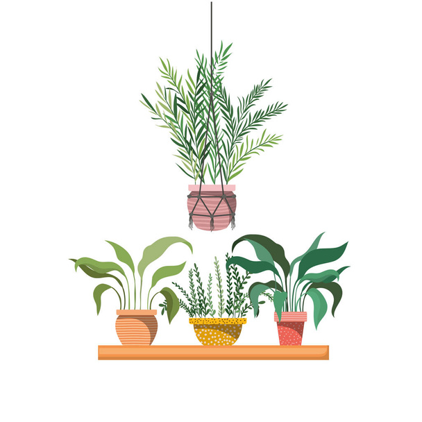 houseplants with potted on shelf isolated icon - Vector, Image
