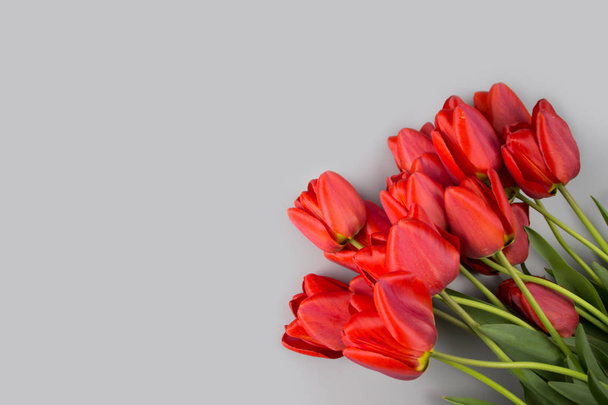 Flores de tulipán de primavera sobre fondo rosa vista superior en estilo laico plano. Saludo para el Día de las Mujeres o Madres
. - Foto, Imagen