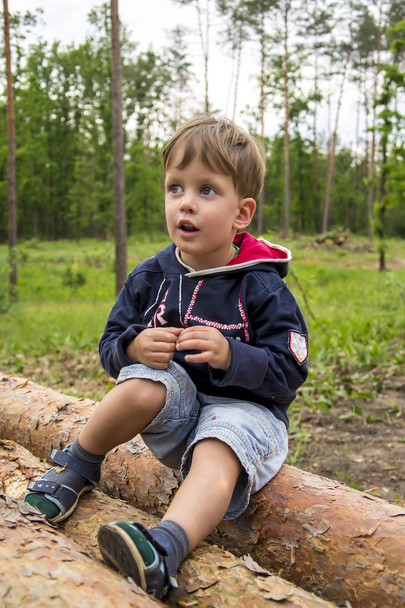 ログの森でかわいい 3 歳少年 - 写真・画像