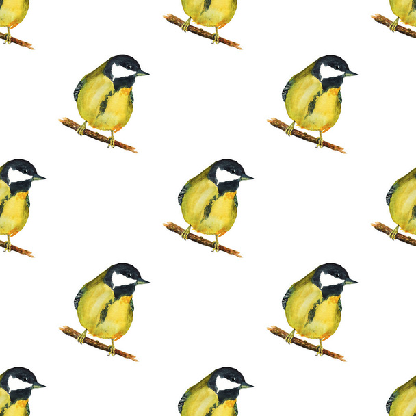 Seamless pattern with tomtits - Foto, Imagem