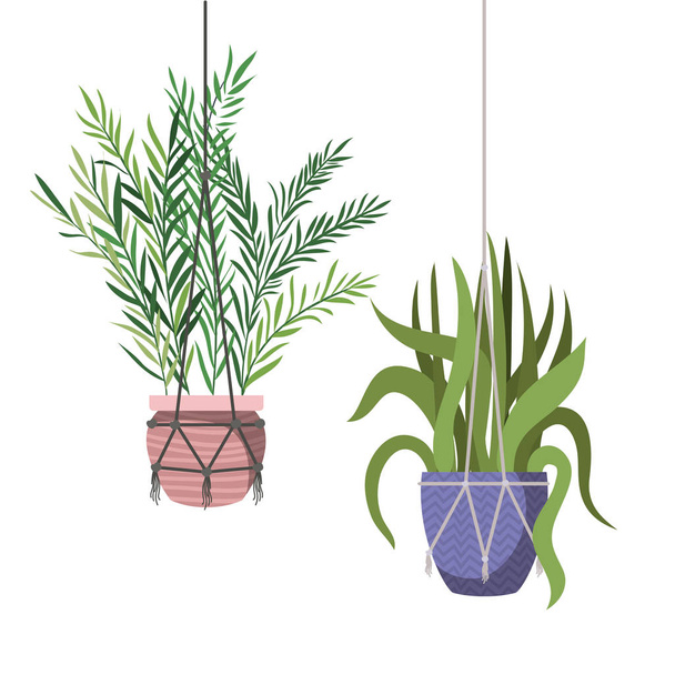 Растения на иконке вешалки для макраме
 - Вектор,изображение