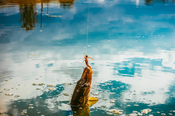 Pike kalastus järvellä - Valokuva, kuva