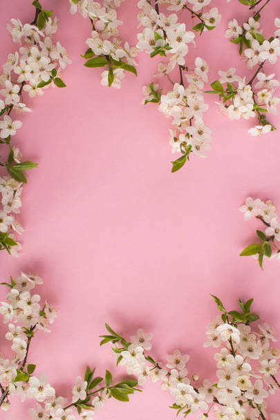 Jarní nebo letní pozadí. Kvetoucí větve stromů na růžovém pozadí. Pohled shora. Kopírovat místo. - Fotografie, Obrázek