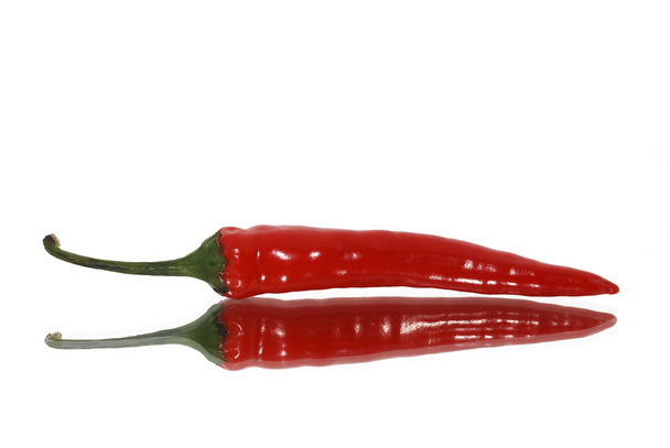 pepe rosso con riflessione sul bianco
 - Foto, immagini