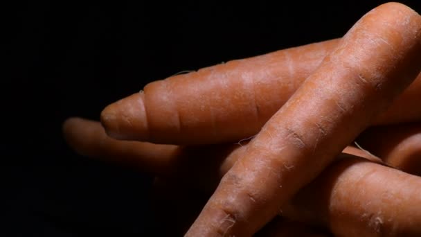 Carrots gyrating on black background. Daucus carota - Footage, Video