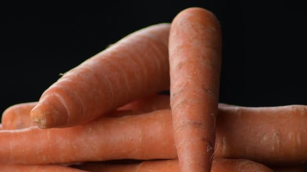 Carrots vegetables gyrating. Daucus carota - Footage, Video