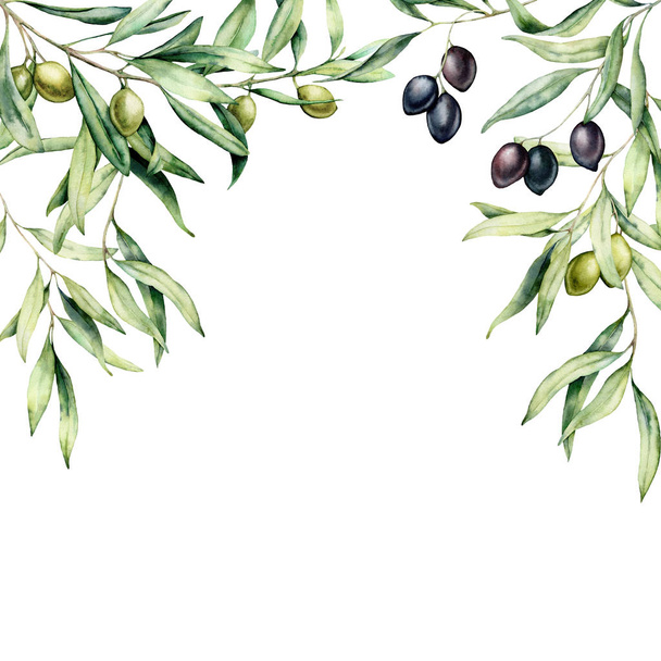 Karta akwarela z gałązkami oliwnymi i jagodami. Ręcznie malowane obramowanie zielone i czarne oliwki izolowane na białym tle. Kwiatowy ilustracji botanicznej do projektowania, druku. - Zdjęcie, obraz