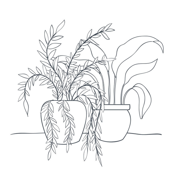 houseplants with potted isolated icon - Vector, Image