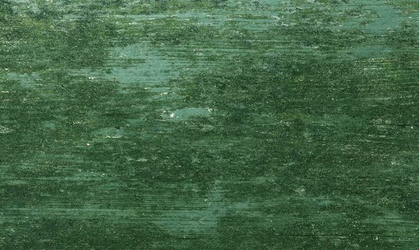 Detalle de musgo y liquen sobre superficie barnizada de madera
 - Foto, Imagen